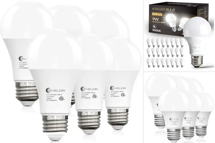 Detailed view of Best LED Bulbs to Brighten Your Space