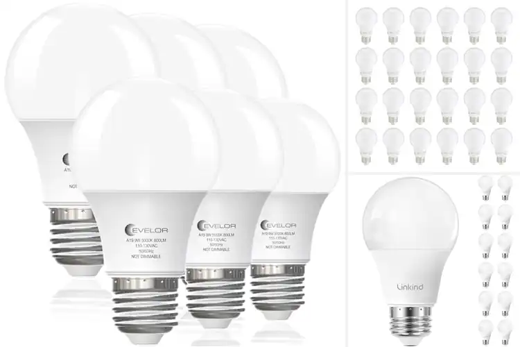 Detailed view of Best LED Light Bulbs