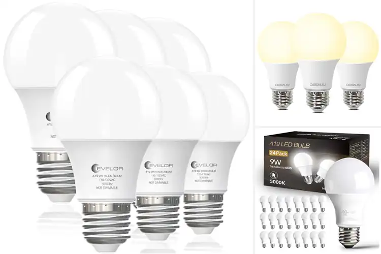 Detailed view of Best Living Room Light Bulbs