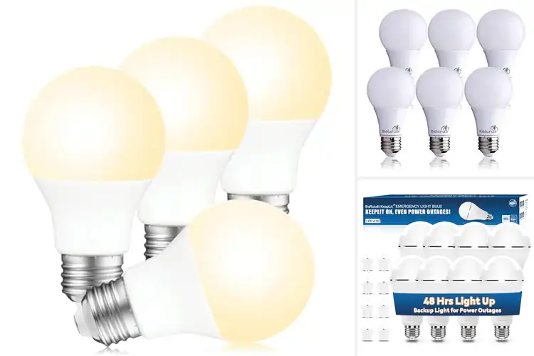 Detailed view of Best Long Lasting Bulbs