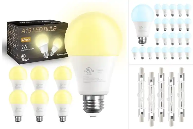Detailed view of Best Long Lifespan Bulbs: Save Time & Money with Top Picks