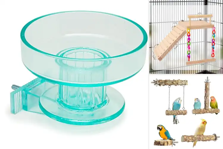 Detailed view of Best Lovebird Accessories