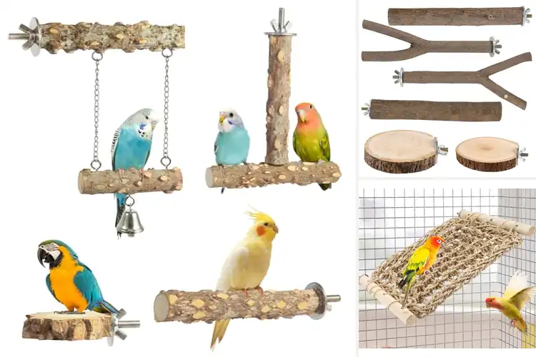 Detailed view of Best Lovebird Climbing Accessories