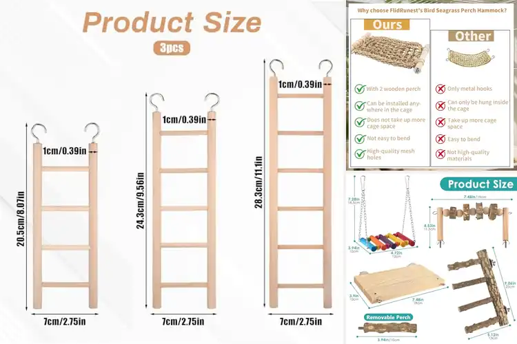 Detailed view of Best Lovebird Climbing Ladders