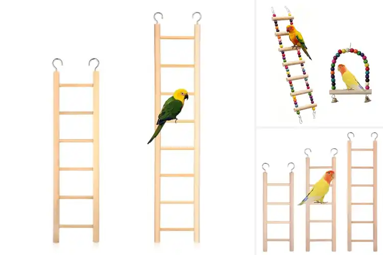 Detailed view of Best Lovebird Ladder Sets: 9 Safe & Fun Climbing Options
