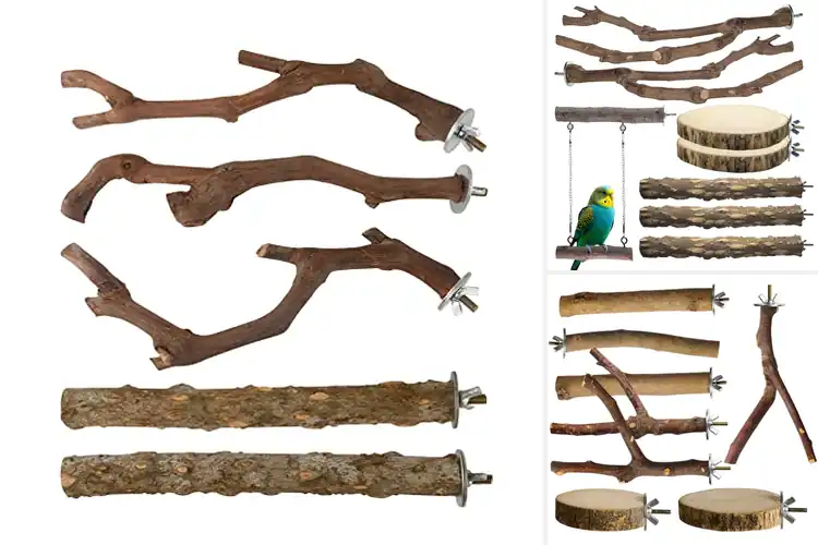 Detailed view of Best Natural Bird Perches