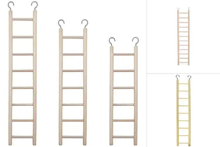 Detailed view of Best Natural Bird Steps: 10 Picks for a Fun, Healthy Cage