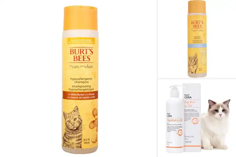 Detailed view of Best Natural Cat Shampoos