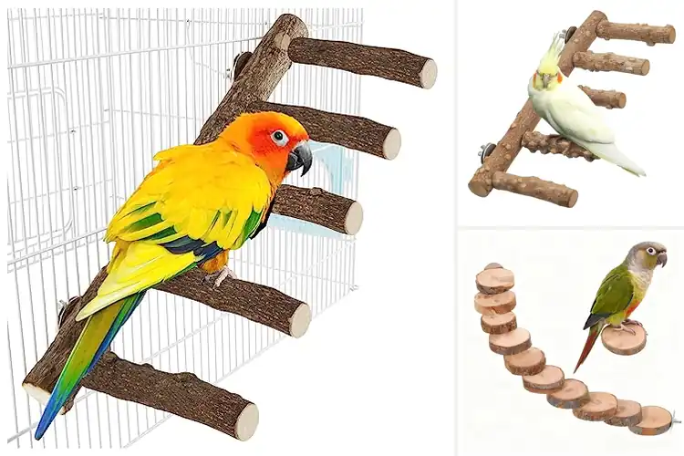 Detailed view of Best Natural Wood Bird Ladder: Happy Birds, Active Play