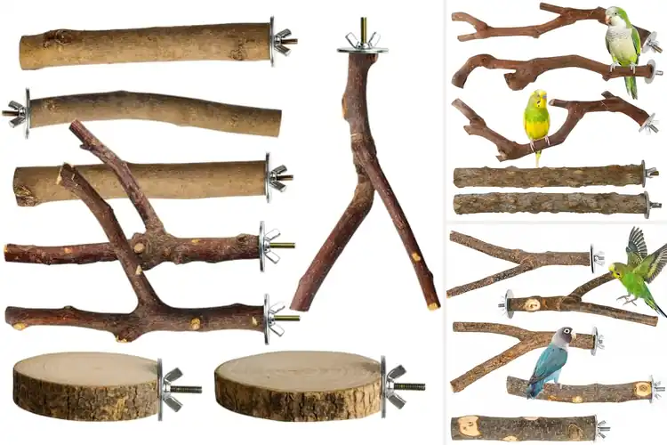 Detailed view of Best Natural Wood Bird Perches
