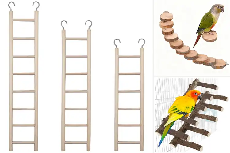 Detailed view of Best Natural Wood Ladder Perches