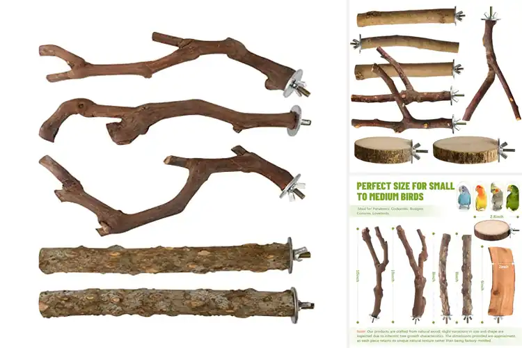 Detailed view of Best Natural Wood Perches
