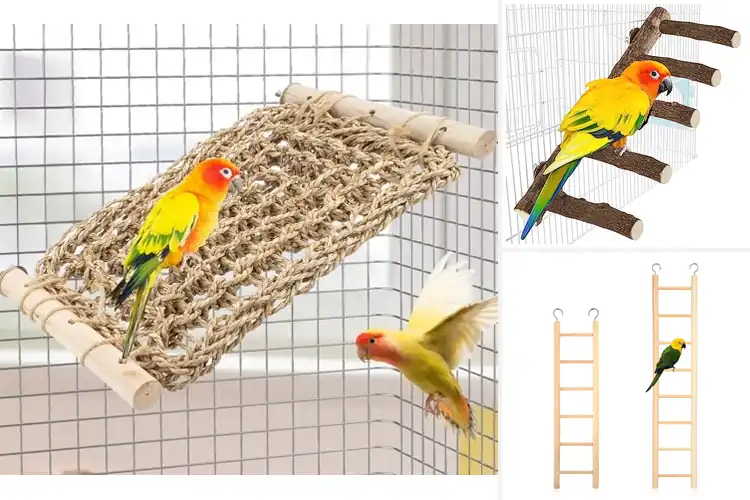 Detailed view of Best Natural Wooden Parrot Ladder: Climb & Play