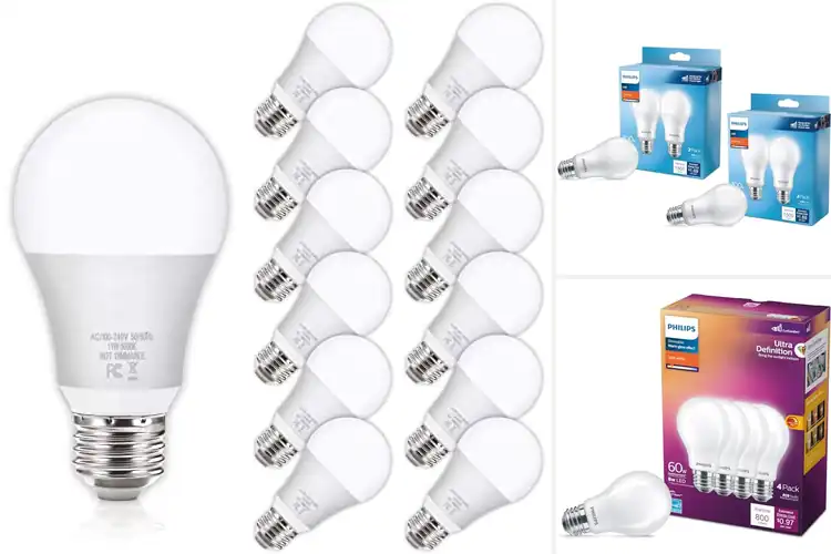 Detailed view of Best No Flicker Light Bulbs