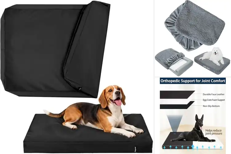 Detailed view of Best Odor Proof Dog Bed Covers