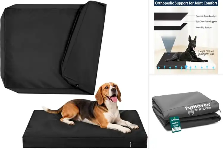 Detailed view of Best Odor Resistant Dog Bed Covers: Top 10 Fresh Picks