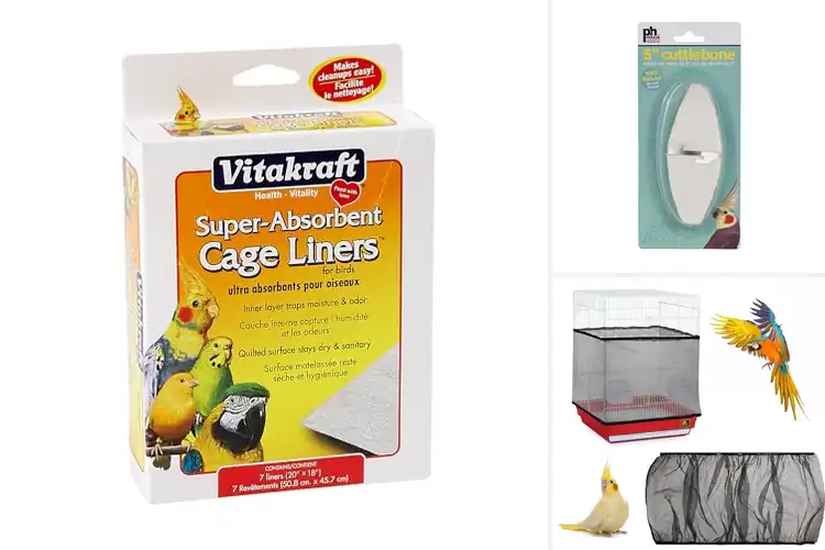 Detailed view of Best Parakeet Cage Accessories for a Happier, Healthier Bird