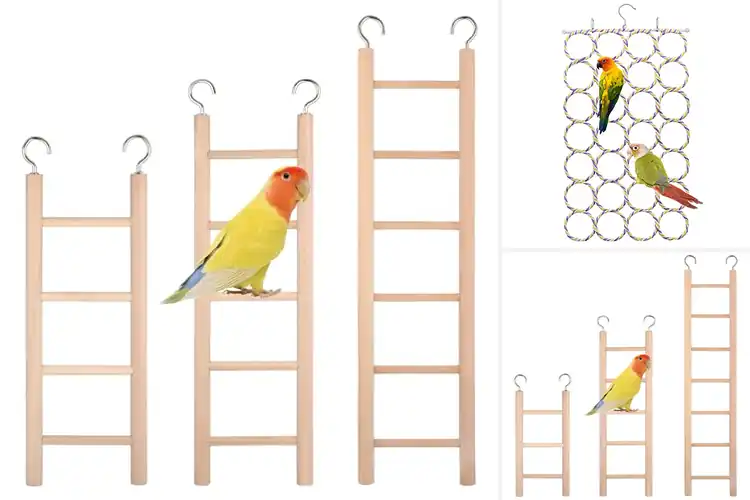 Detailed view of Best Parakeet Hanging Ladders: Fun & Active Bird Playtime