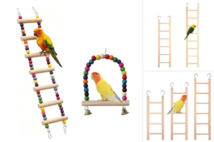 Detailed view of Best Parakeet Ladder Sets: Safe & Fun Climbing Solutions