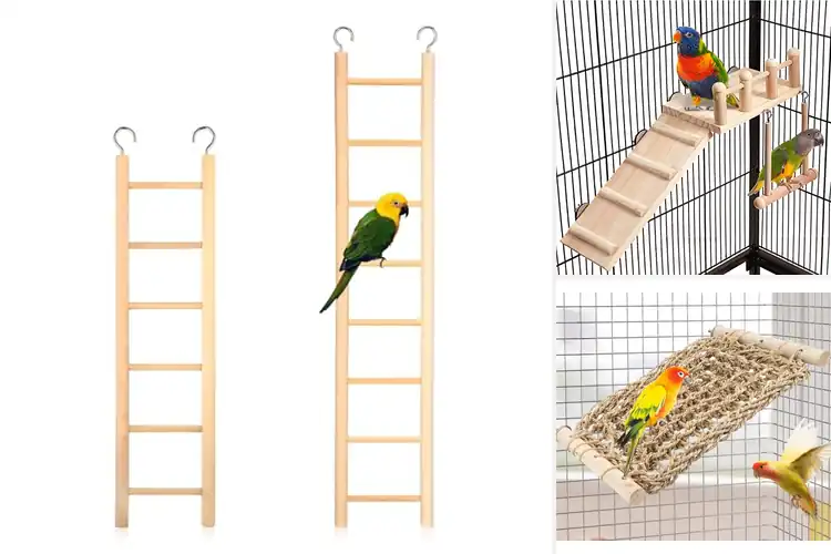 Detailed view of Best Parrot Cage Accessory Ladder