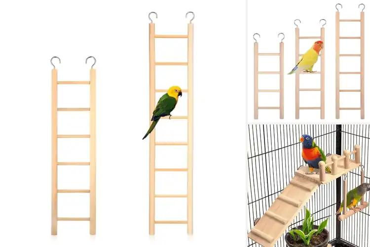 Detailed view of Best Parrot Cage Ladder Sets