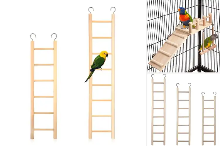 Detailed view of Best Parrot Cage Ladders for Active, Happy Birds