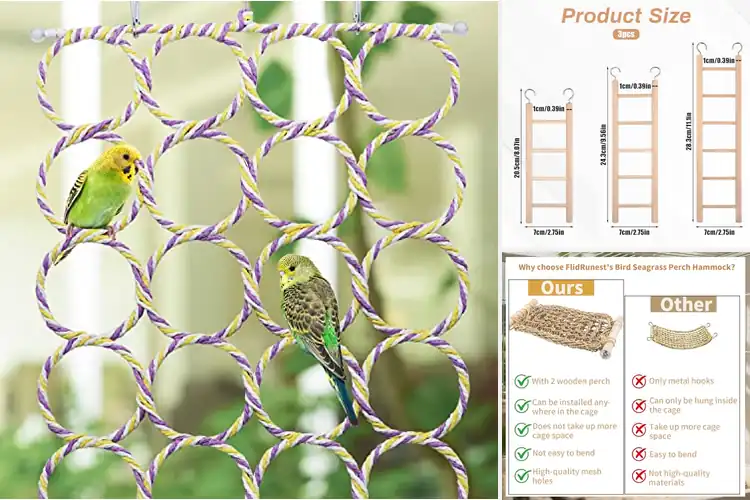 Detailed view of Best Parrot Climbing Ladders: Safe & Fun Picks for Your Bird