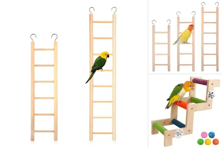 Detailed view of Best Parrot Gift Ladders: Top Picks for a Happier Cage