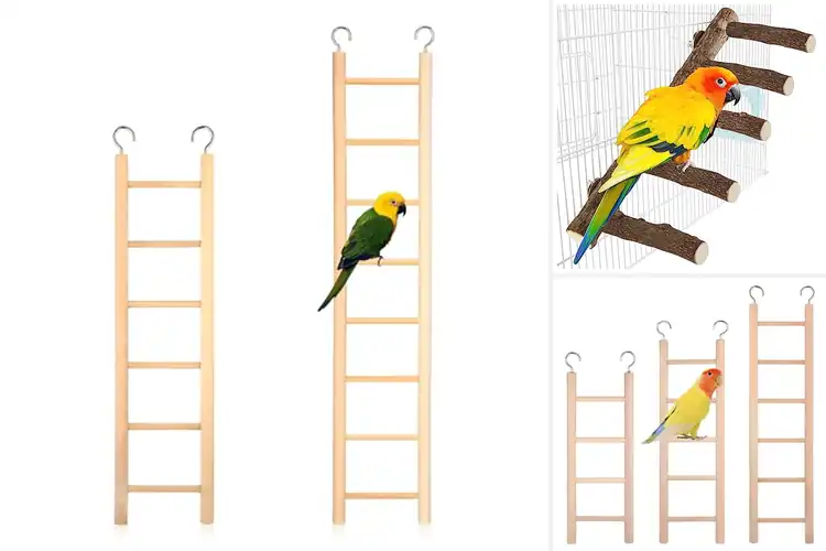 Detailed view of Best Parrot Ladder Buyers: Top 10 Picks for Happy Climbing