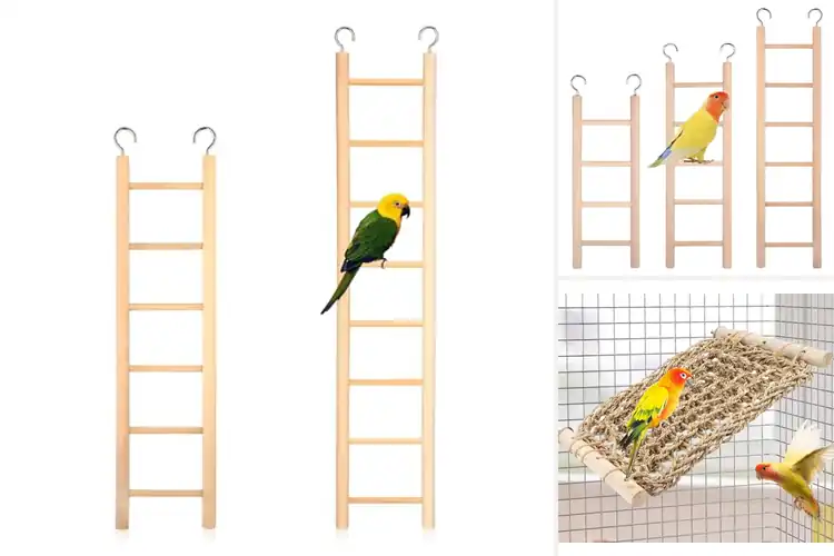 Detailed view of Best Parrot Ladder: 9 Top Picks for Active, Happy Birds
