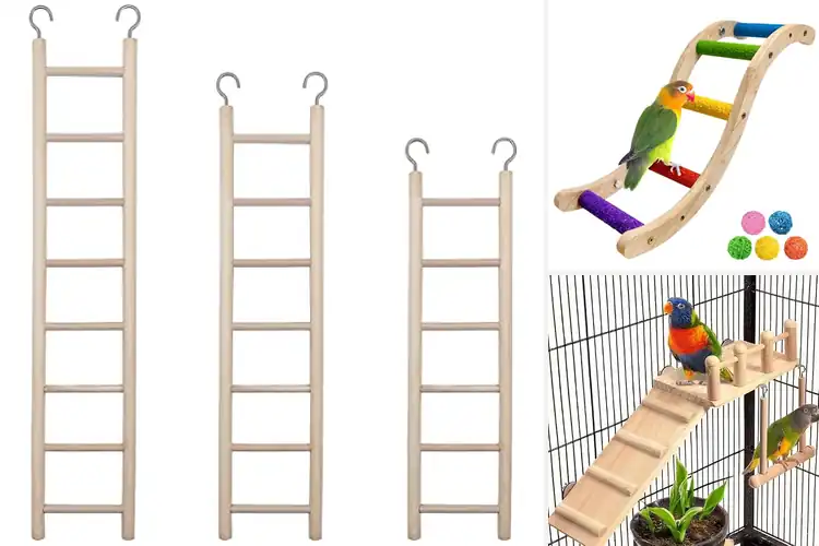 Detailed view of Best Parrot Ladders For Cage