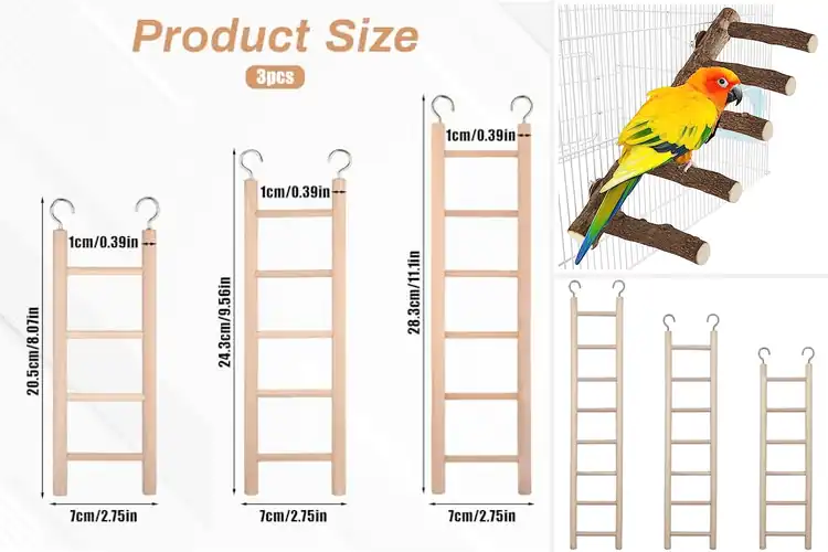 Detailed view of Best Parrot Ladders: Top 5 Picks for Active, Happy Birds