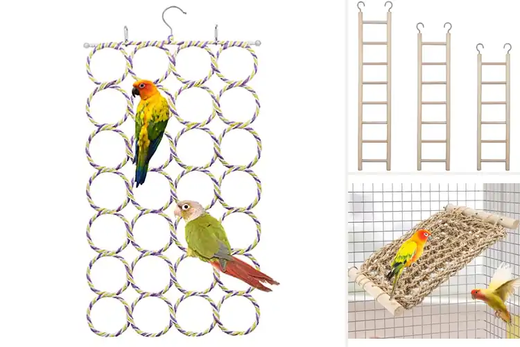 Detailed view of Best Parrot Perch Ladders: Boost Your Bird’s Playtime