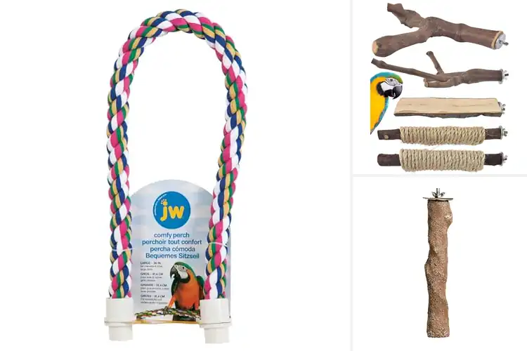 Detailed view of Best Parrot Perches: Top 10 Picks for Happy, Healthy Birds