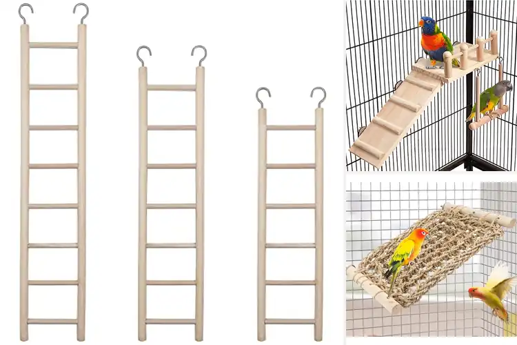 Detailed view of Best Perch Ladder For Birds