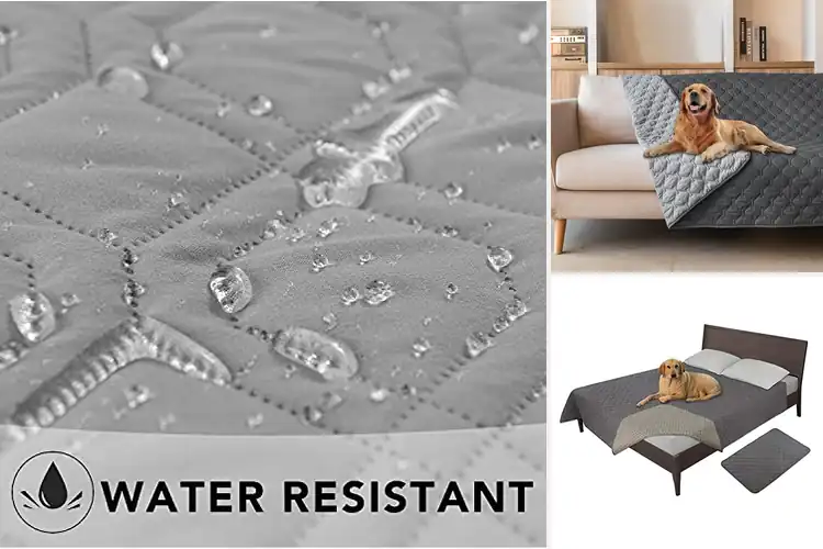 Detailed view of Best Pet Bed Protectors: Comfort, Durability & Style Guide