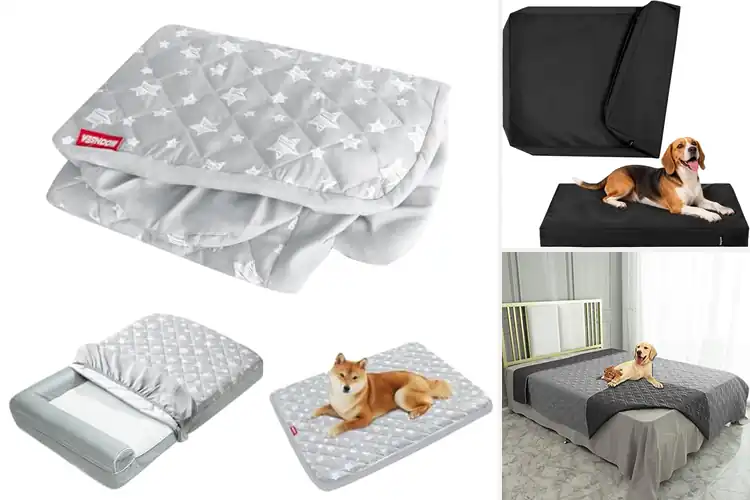 Detailed view of Best Protective Dog Bed Covers