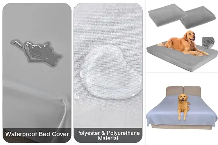Detailed view of Best Protective Dog Bedding: Top 10 Picks for a Clean Home