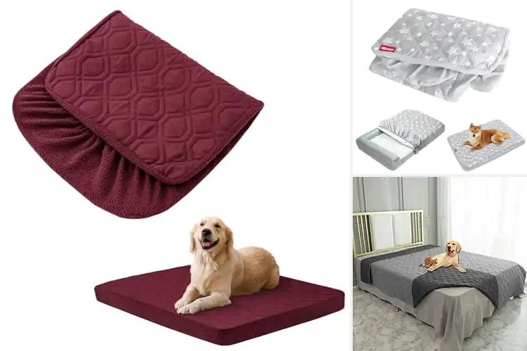 Detailed view of Best PUL Waterproof Dog Cover: Stay Dry & Comfortable