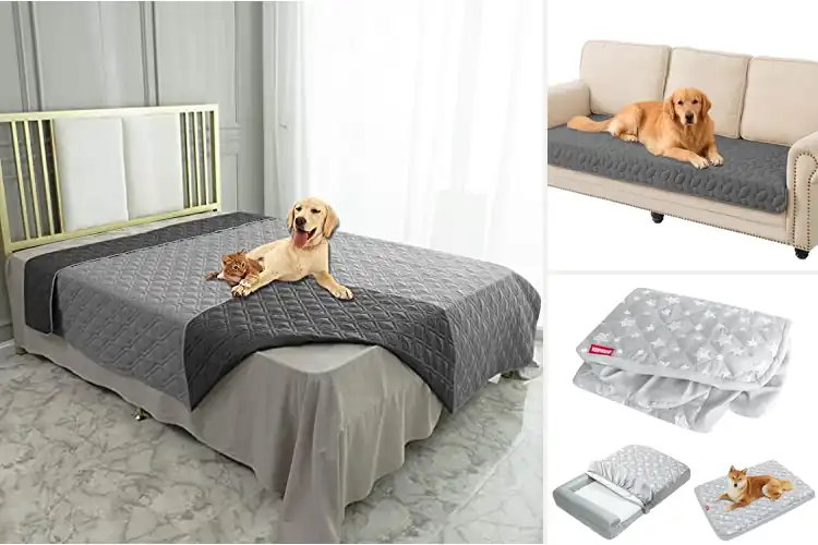 Detailed view of Best Quilted Bed Covers For Pets
