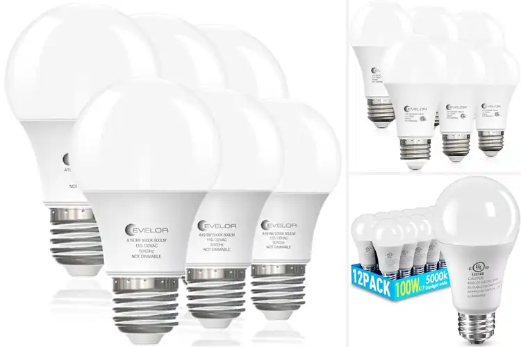 Detailed view of Best Reliable LED Bulbs