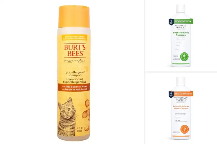 Detailed view of Best Sensitive Skin Cat Shampoos