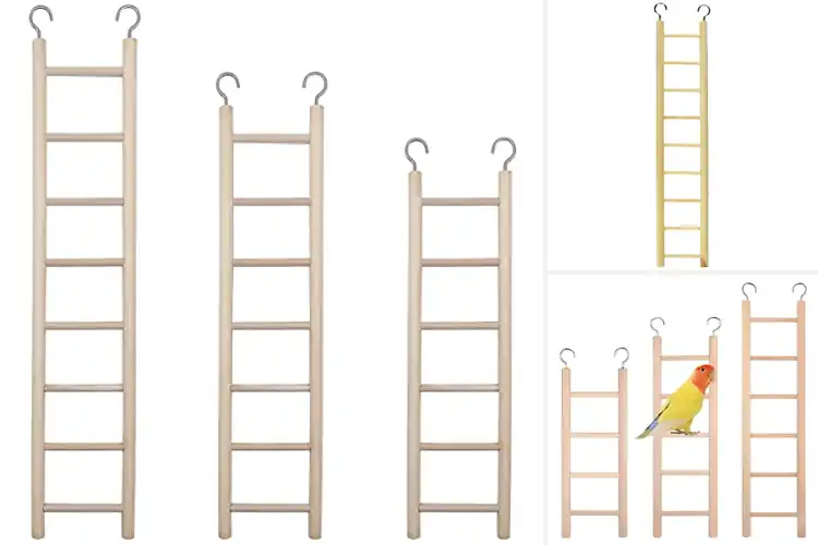 Detailed view of Best Small Bird Ladders
