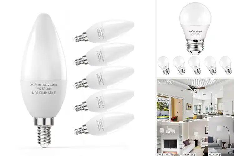 Detailed view of Best Small LED Bulbs