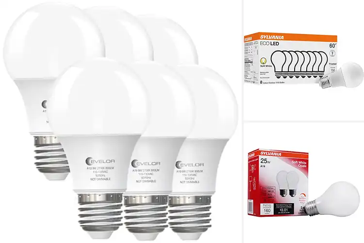 Detailed view of Best Soft White Light Bulbs