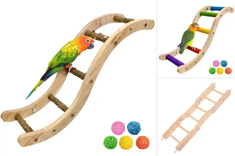 Detailed view of Best Spaced Cross Bar Parrot Ladder