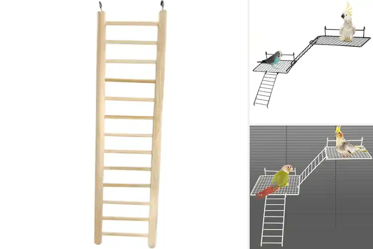 Detailed view of Best Stainless Steel Hook Bird Ladder