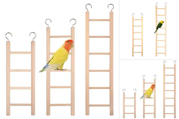 Detailed view of Best Variety Size Parrot Ladder Set