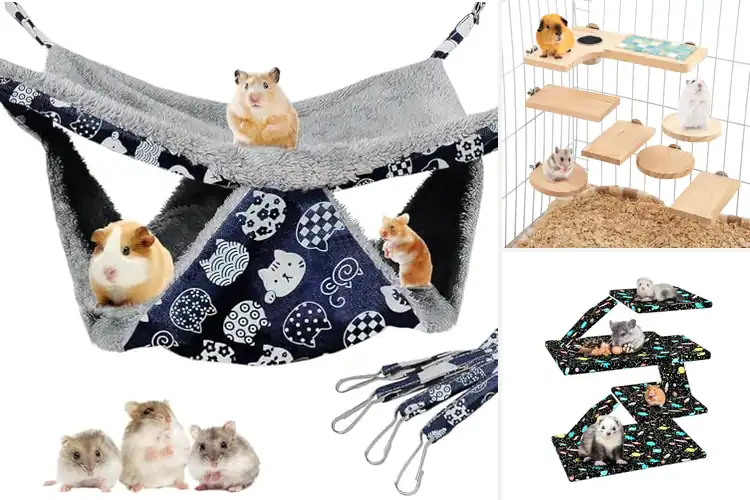 Detailed view of Best Versatile Cage Accessories : Fun & Cozy Upgrades