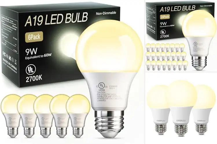 Detailed view of Best Warm White Bulbs